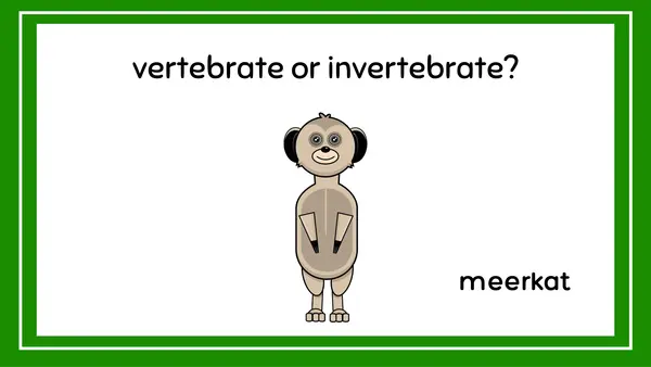 Vertebrates or invertebrates quiz game animals ppt no print 