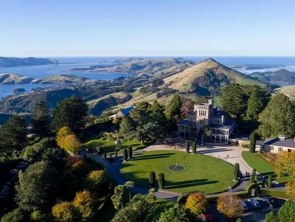 What Are the Benefits of Living and Studying in Dunedin, New Zealand