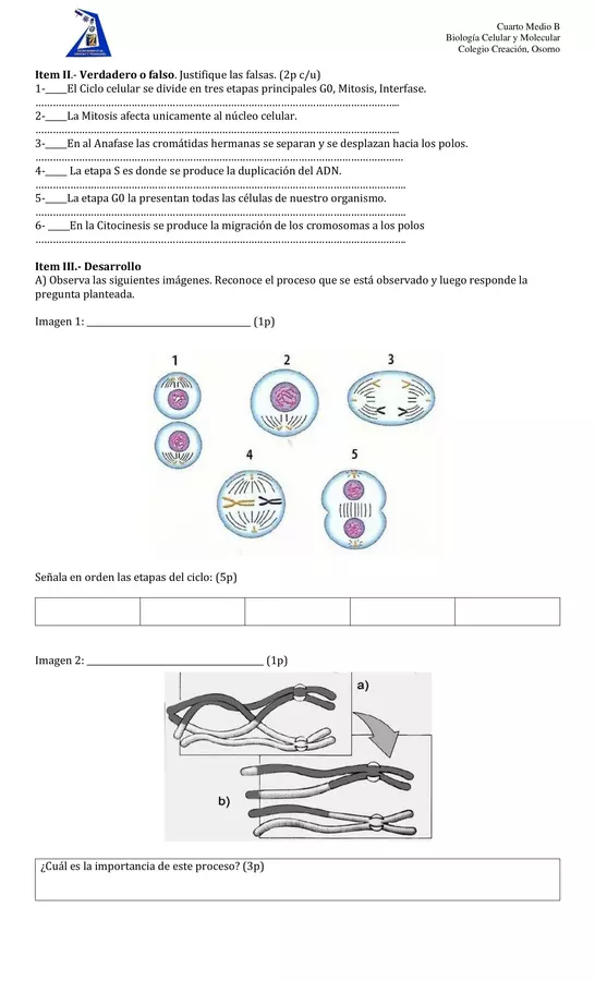 Guía de actividades - ciclo celular - Mitosis y Meiosis