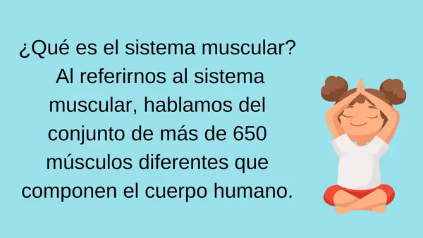 SISTEMA MUSCULAR (SEGUNDO BÁSICO)