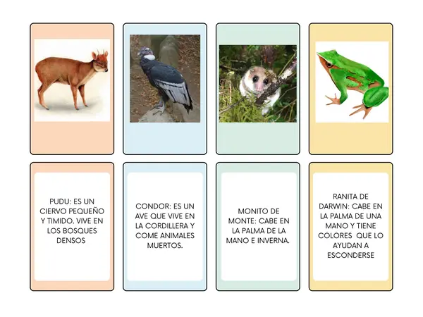 Flashcards/ memorice "Fauna nativa de Chile"