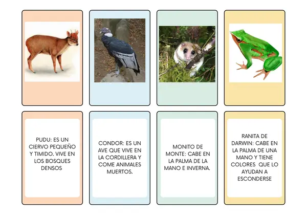 Flashcards/ memorice "Fauna nativa de Chile"