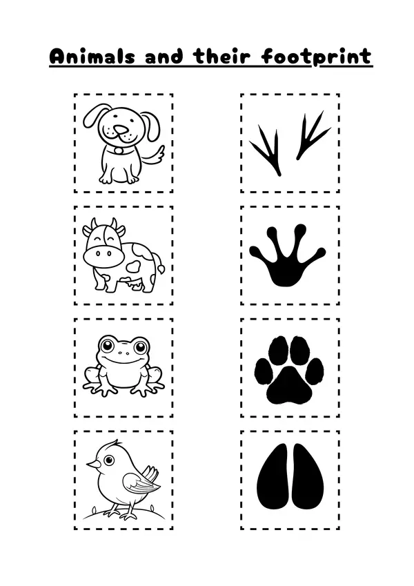 Animals and their foodprint