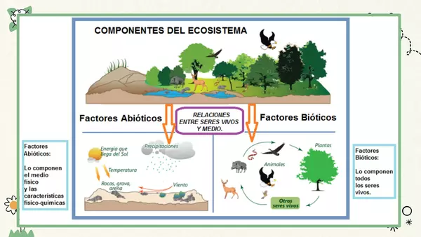Los ecosistemas y sus componentes