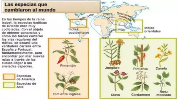 Presentacion Consecuencias de la conquista de america, historia, Octavo Basico