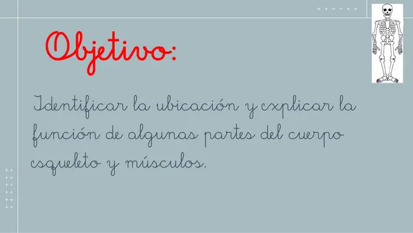 "Cuerpo Humano"