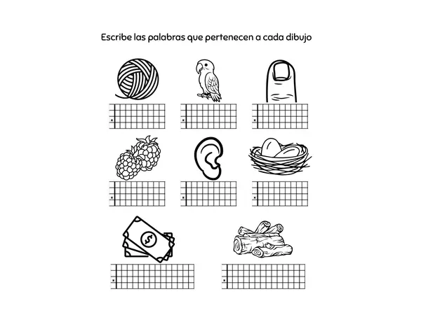 Autodictado lecciones lana, loro, nido
