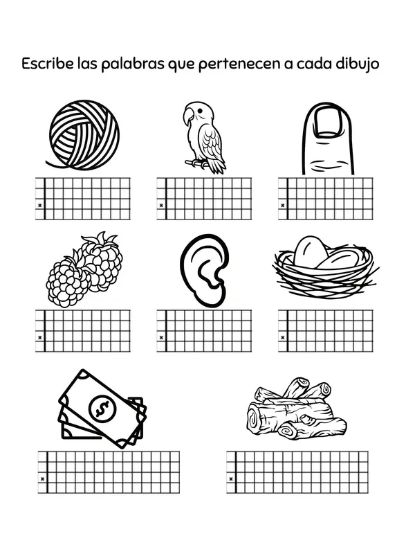 Autodictado lecciones lana, loro, nido