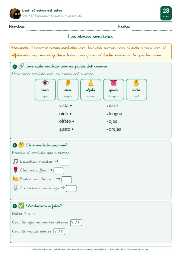 Los cinco sentidos: ficha interactiva gratuita para 6–7 años