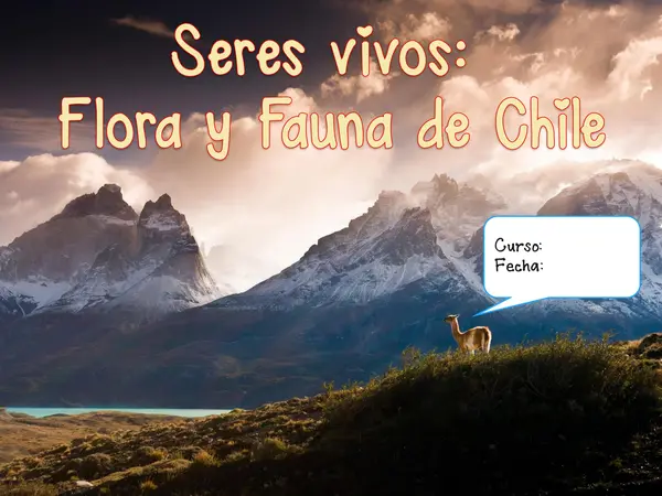1° básico - Clases sobre la Flora y Fauna de Chile - Sudamérica