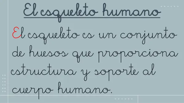 "Cuerpo Humano"