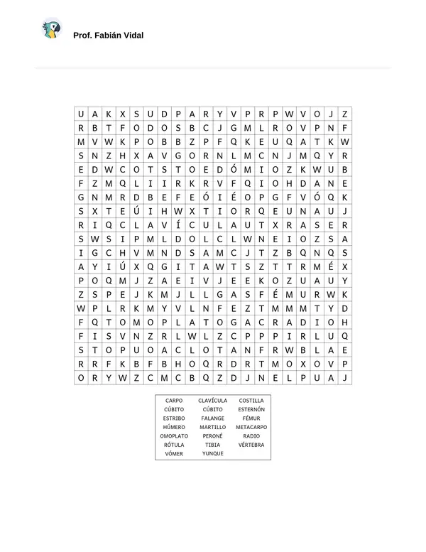 Sopa de letras (Huesos del cuerpo humano)