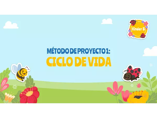 Ciclo de vida - canguro 