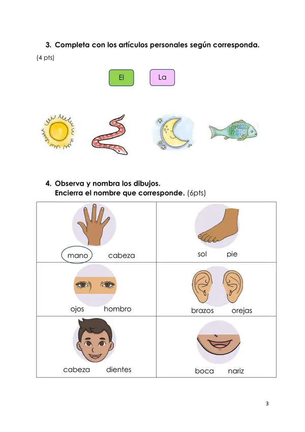 Evaluación comprensión lectora 1°año básico"