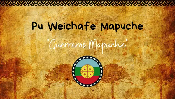 Pu Weichafe Mapuche