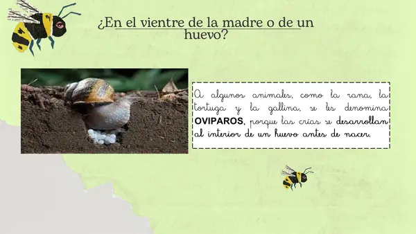 Los seres vivos se reproducen