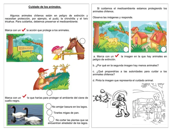 Guía de ciencias 1°año básico "Cuidado de los animales"