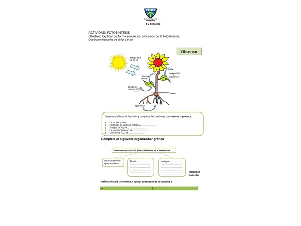 LAS PLANTAS
