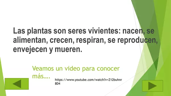LAS PLANTAS