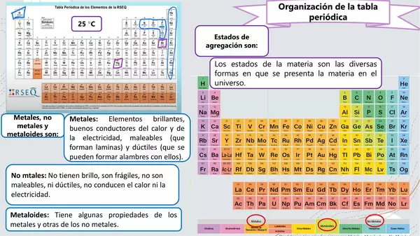 Tabla periódica, organización y regularidades de los elementos químicos