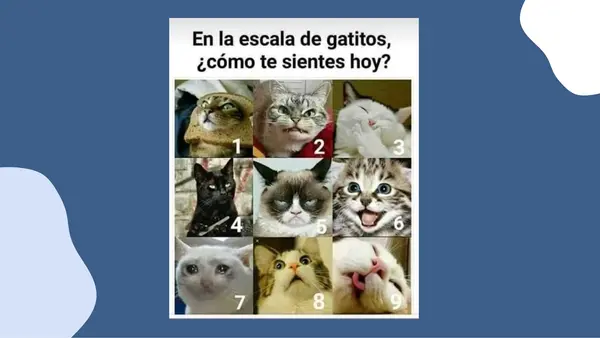 Figuras literarias