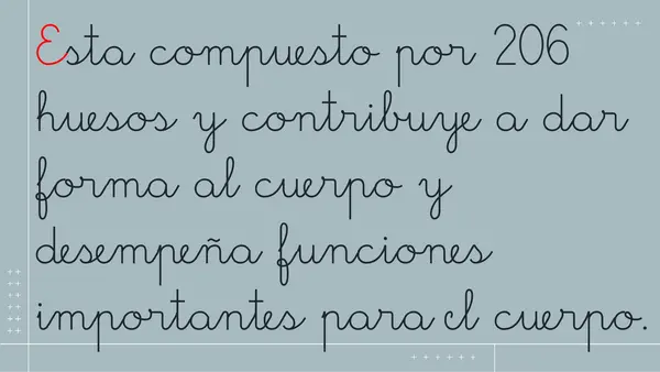 "Cuerpo Humano"