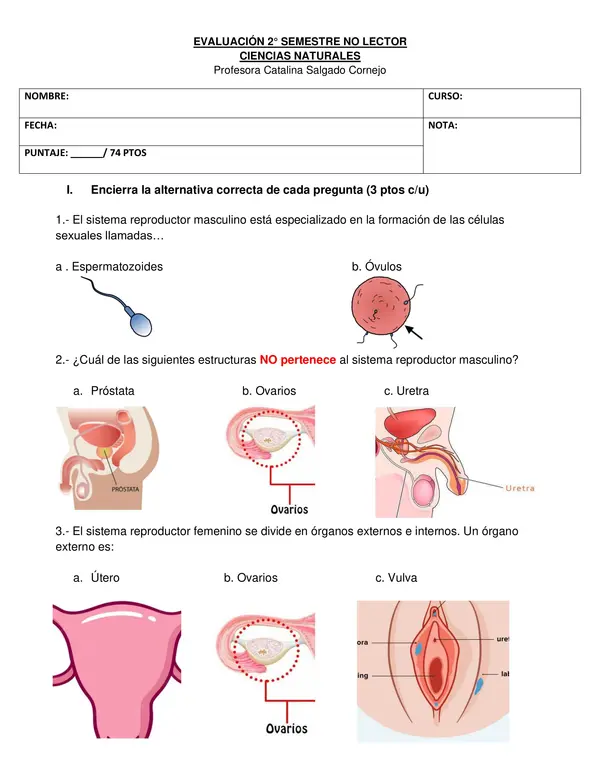 Prueba ciencias sexualidad 6° básico NO LECTORES