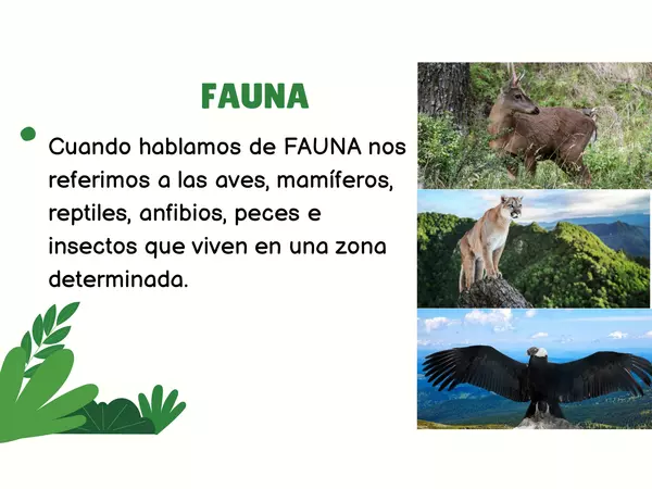 Flora y fauna Chilena