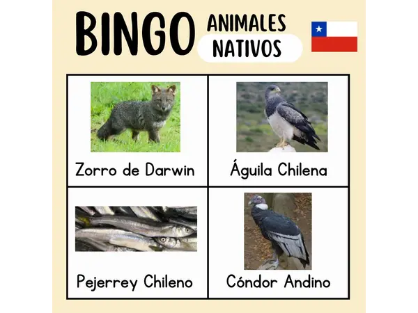 Bingo "Animales Nativos de Chile"