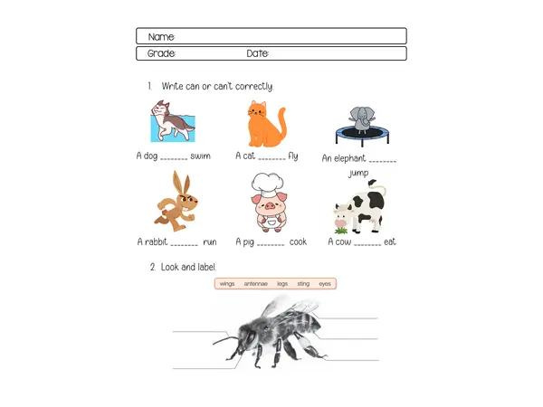 Animals