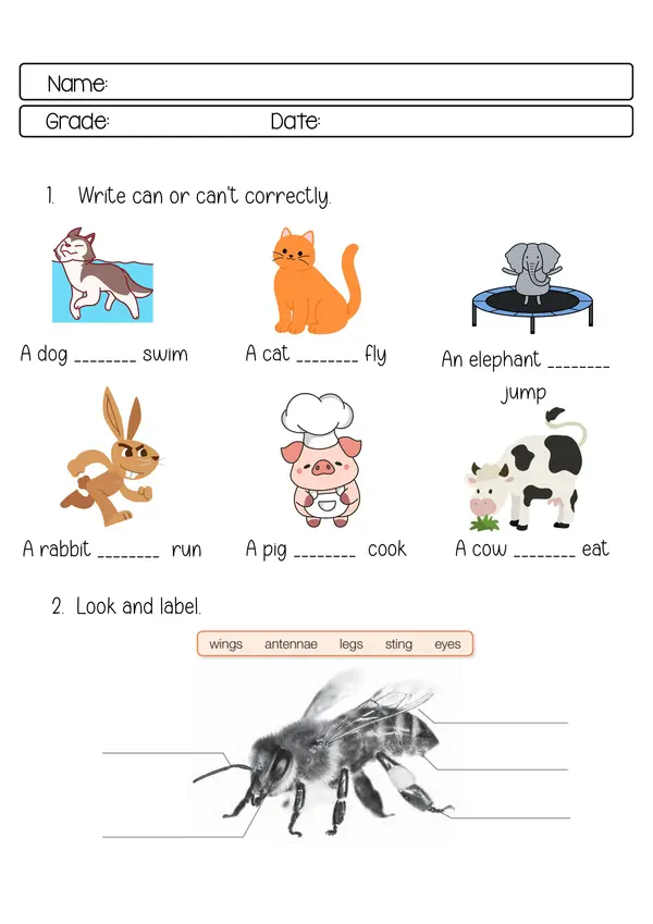 Animals