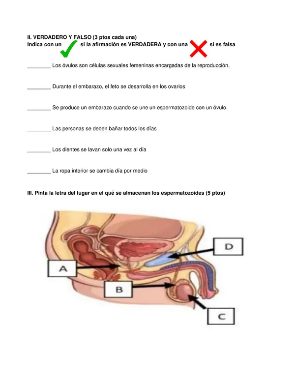 Prueba ciencias sexualidad 6° básico NO LECTORES