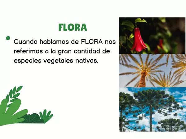 Flora y fauna Chilena