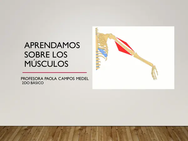 Los músculos