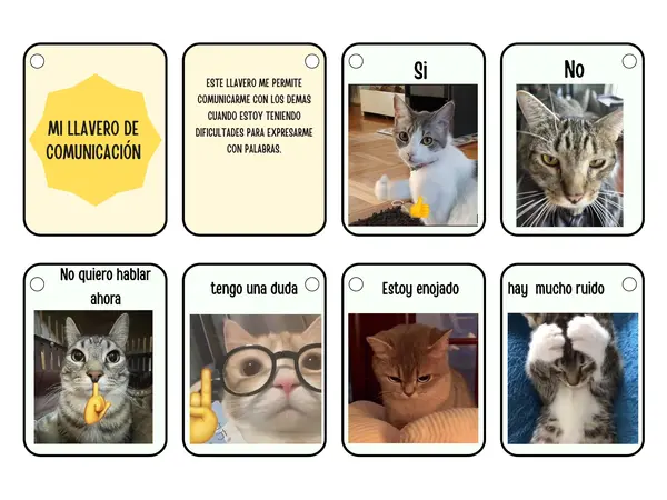 Llavero comunicación aumentativa con gatos 