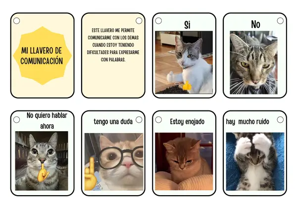 Llavero comunicación aumentativa con gatos 