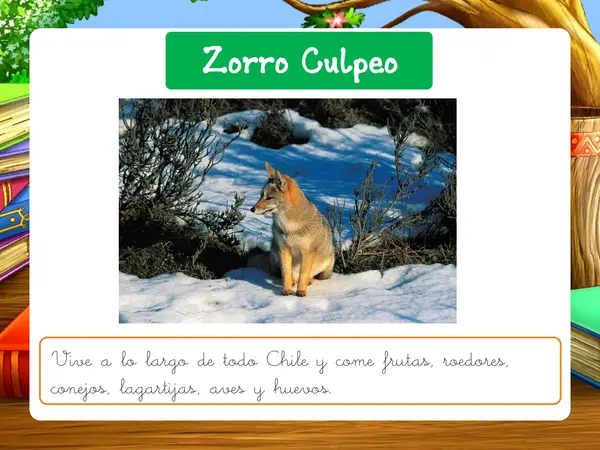 1° básico - Clases sobre la Flora y Fauna de Chile - Sudamérica