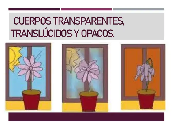 La luz: cuerpos transparentes, traslùcidos y opacos