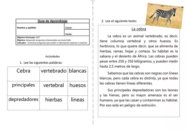Comprensión lectora: La cebra (guía)