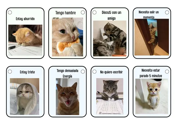 Llavero comunicación aumentativa con gatos 