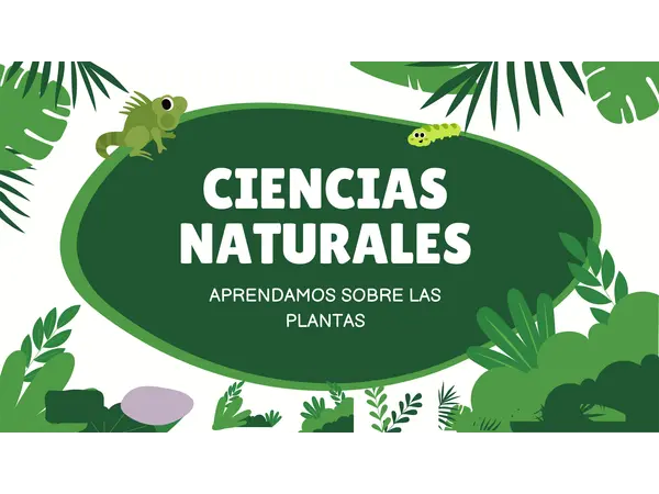 1ero básico Ciencias Naturales plantas
