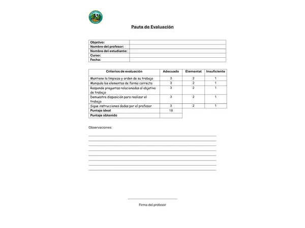 PAUTA DE EVALUACION 