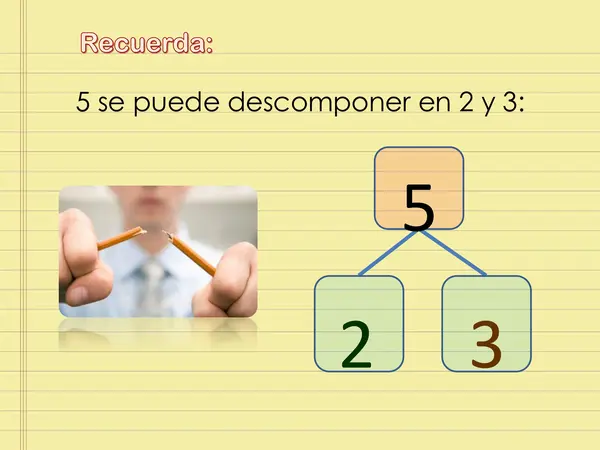 Composición y Descomposición APTUS 1° básico