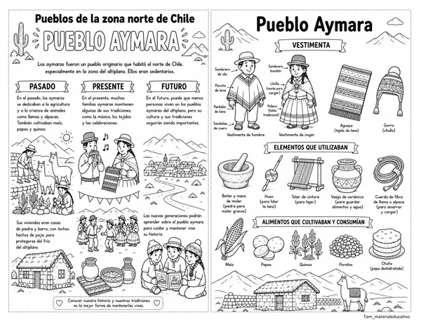 Pueblos originarios de Chile