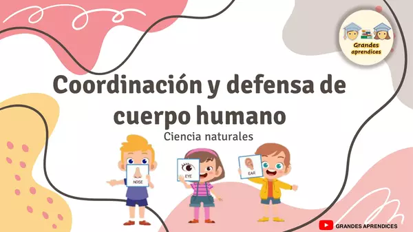 Coordinación y defensa del cuerpo humano