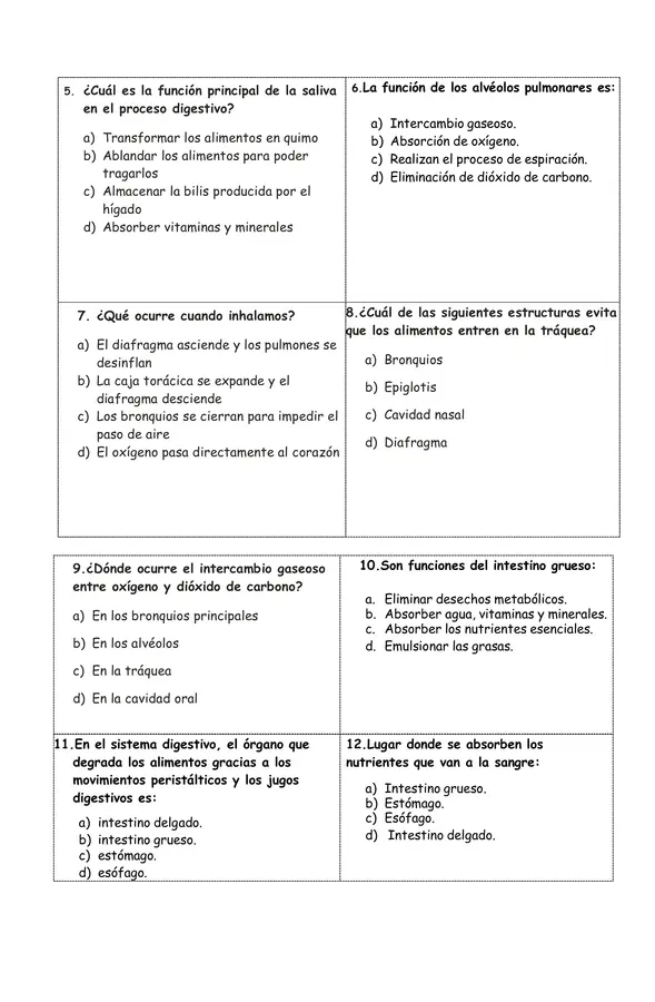 Evaluación: Los sistemas del cuerpo humano