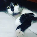 Kevin :v Posting - @kevin.v.posting