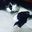 Kevin :v Posting - @kevin.v.posting