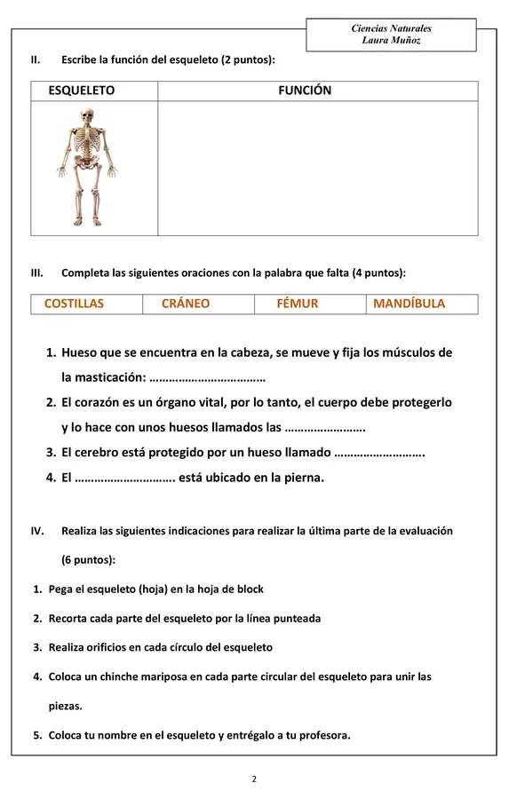 Evaluación Ciencias (esqueleto y sus funciones)