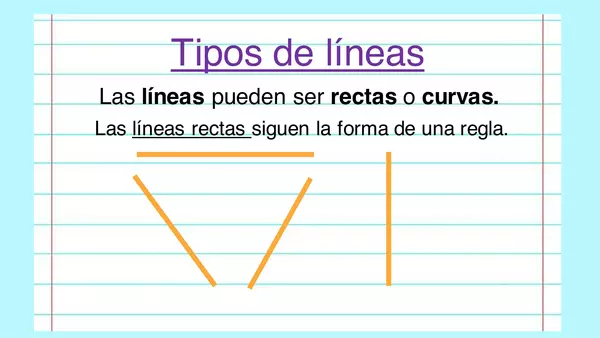Lineas rectas y líneas curvas